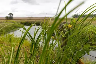 1323 230th Ave, Fairmont, MN 56031 - Photo 59