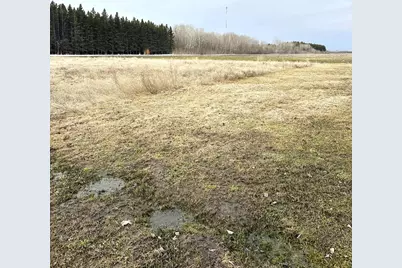 Tbd Maple Drive NW, Baudette, MN 56623 - Photo 5