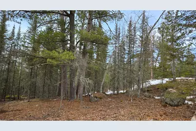 7316 Crane Lake Road, Crane Lake, MN 55725 - Photo 3