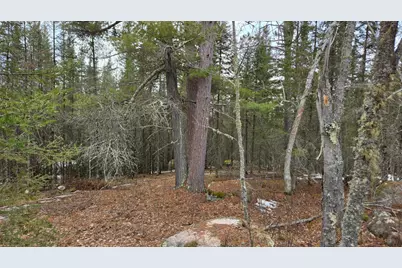 7316 Crane Lake Road, Crane Lake, MN 55725 - Photo 5