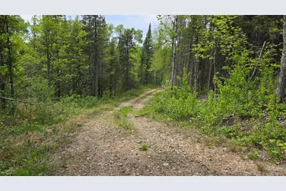 7316 Crane Lake Road, Crane Lake, MN 55725 - Photo 3