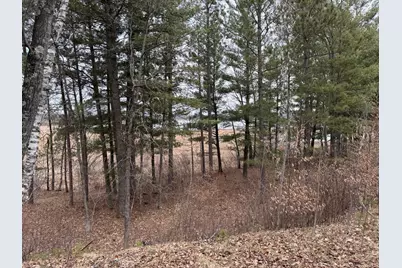 Tbd Miller Bay Lane, Hackensack, MN 56452 - Photo 13