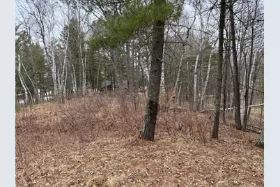 Tbd Miller Bay Lane, Hackensack, MN 56452 - Photo 11