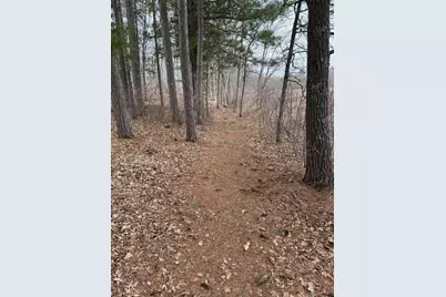 Tbd Miller Bay Lane, Hackensack, MN 56452 - Photo 17