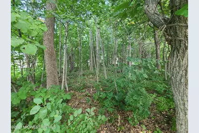 19733 Audubon Lake Road, Audubon, MN 56511 - Photo 3