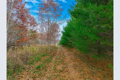 Xxx Lot #12 110th Avenue, Hammond, WI 54015 - Photo 5