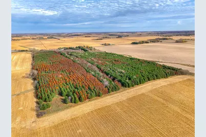 Xxx Lot #9 110th Avenue, Hammond, WI 54015 - Photo 3