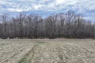 2955 Nelson Rd, Independence, MN 55328 - Photo 5