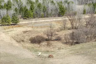 33395 464th St, Motley, MN 56466 - Photo 29