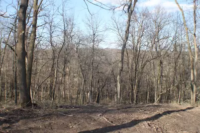 Xxxxc Kings Park Road NW, Oronoco Township, MN 55960 - Photo 9