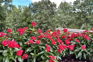 685 Hidden Creek Trail, Mendota Heights, MN 55118 - Photo 31