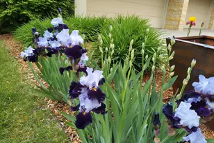 685 Hidden Creek Trail, Mendota Heights, MN 55118 - Photo 79