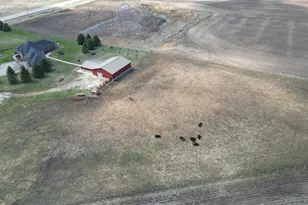 10599 State Hwy 56, Le Roy, MN 55951 - Photo 37