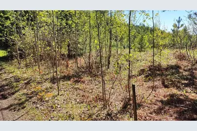 80012 Conifer Crest, Tower, MN 55790 - Photo 7