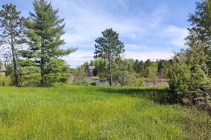 80048 Tamarack Trail, Tower, MN 55790 - Photo 1