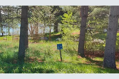 80075 Lake Of Vermilion Road, Tower, MN 55790 - Photo 1