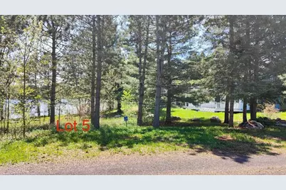 80075 Lake Of Vermilion Road, Tower, MN 55790 - Photo 5