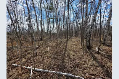 Xxxxx Westward Ho Street, Garrison, MN 56450 - Photo 1