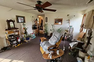 517 Warren Ave, Spring Valley, MN 55975 - Photo 21