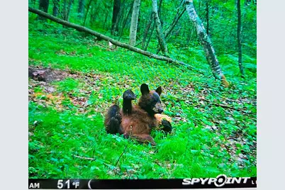 Xxx Oak Point Road NW, Cass Lake, MN 56633 - Photo 1