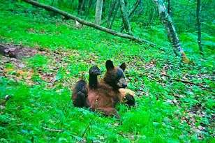 Xxx Oak Point Road NW, Cass Lake, MN 56633 - Photo 1