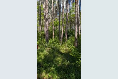 3823 County Road 17, Pequot Lakes, MN 56472 - Photo 9