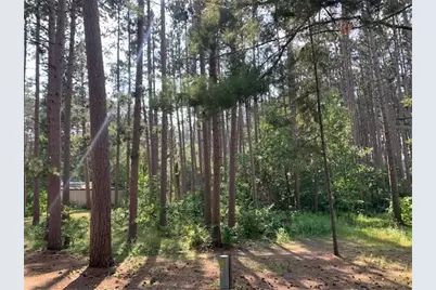 3823 County Road 17, Pequot Lakes, MN 56472 - Photo 5