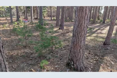 3823 County Road 17, Pequot Lakes, MN 56472 - Photo 11