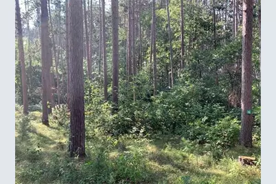 3823 County Road 17, Pequot Lakes, MN 56472 - Photo 13