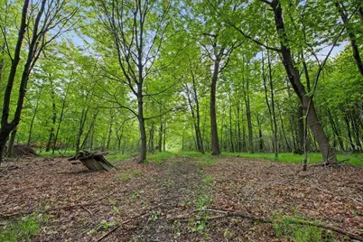 25431 Larch Street NW, Isanti, MN 55040 - Photo 23