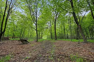 25431 Larch St NW, Isanti, MN 55040 - Photo 23