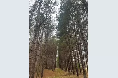 Xxxxx Old 67 Road, Henning, MN 56551 - Photo 9