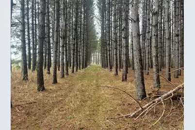 Xxxxx Old 67 Road, Henning, MN 56551 - Photo 7