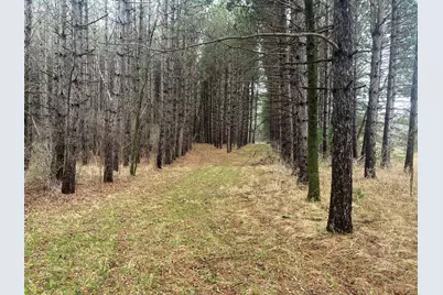 Xxxxx Old 67 Road, Henning, MN 56551 - Photo 5