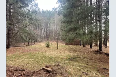 Xxxxx Old 67 Road, Henning, MN 56551 - Photo 1