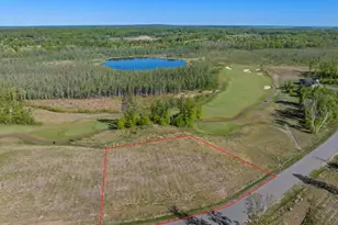 Lot 21 85 Acres 16279 Tom Lehman Dr, Brainerd, MN 56401 - Photo 1