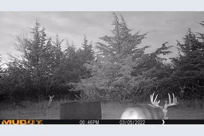 Xxx County 14 Boulevard, Cannon Falls, MN 55009 - Photo 27