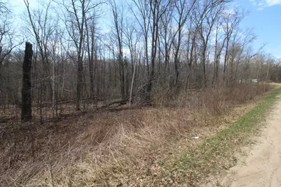 Xxx Lake Camille Dr., Randall, MN 56475 - Photo 5