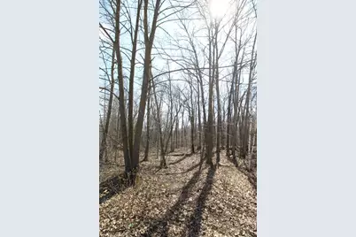 Xxx Lake Camille Dr., Randall, MN 56475 - Photo 13