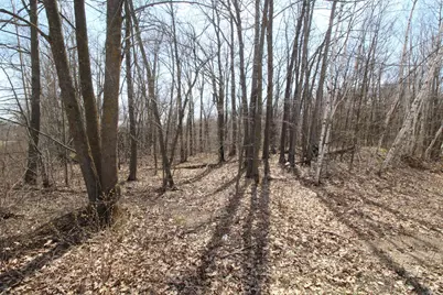 Xxx Lake Camille Dr., Randall, MN 56475 - Photo 11