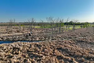 2200 216th St, Madison, MN 56256 - Photo 57