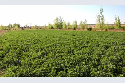 2200 216th Street, Madison, MN 56256 - Photo 21