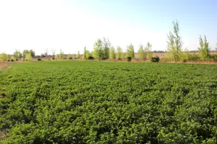 2200 216th St, Madison, MN 56256 - Photo 21