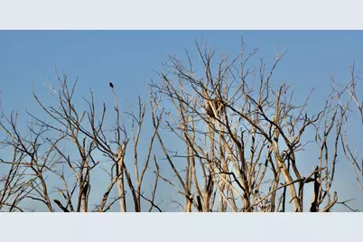 2200 216th Street, Madison, MN 56256 - Photo 23