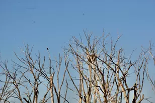 2200 216th St, Madison, MN 56256 - Photo 23