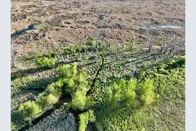 2200 216th Street, Madison, MN 56256 - Photo 15