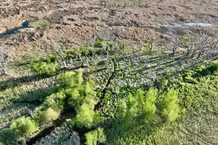 2200 216th St, Madison, MN 56256 - Photo 15