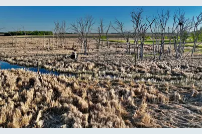 2200 216th Street, Madison, MN 56256 - Photo 13