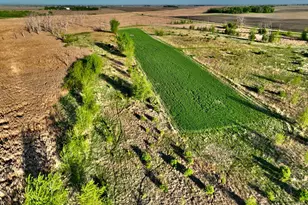 2200 216th St, Madison, MN 56256 - Photo 9