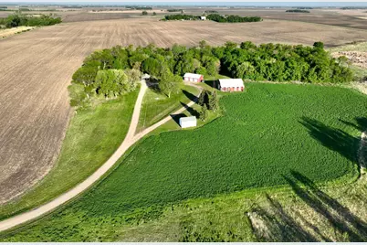 2200 216th Street, Madison, MN 56256 - Photo 3